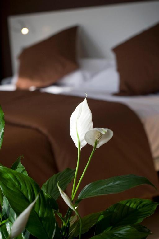 Hotel La Sequia Molinar Campdevánol Екстериор снимка